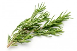 rosemary